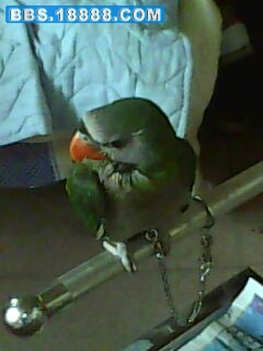 IMG0032A.jpg