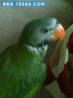 IMG0035A.jpg