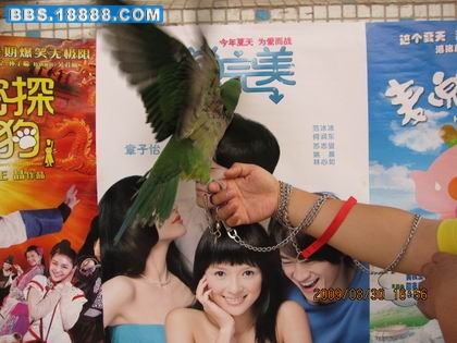 相机的照片 190.jpg