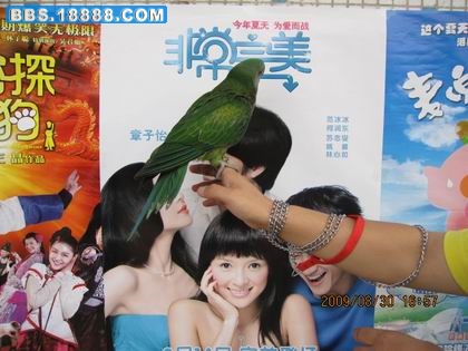 相机的照片 198.jpg