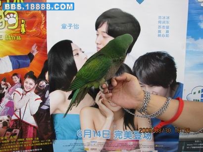 相机的照片 179.jpg