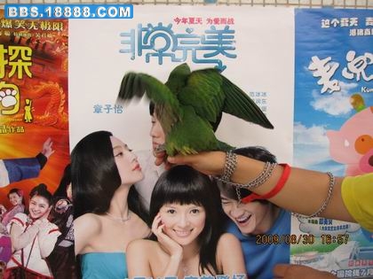 相机的照片 195.jpg