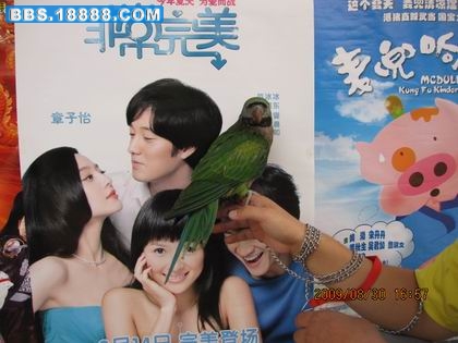 相机的照片 199.jpg