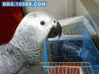 IMG0486A.jpg