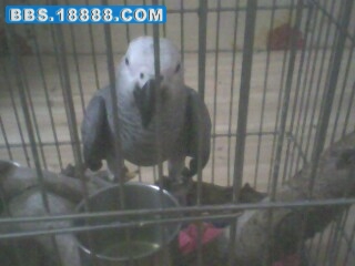 IMG0491A.jpg
