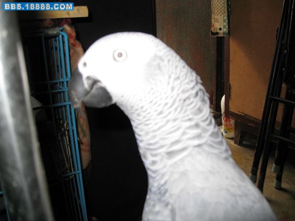 nEO_IMG_IMG_1533.jpg