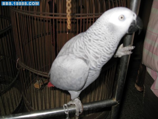 nEO_IMG_IMG_1525.jpg