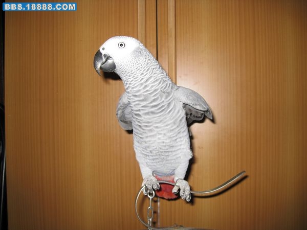 nEO_IMG_IMG_1536.jpg