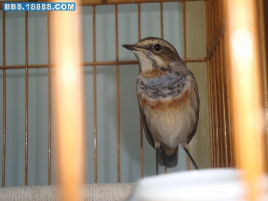 DSC03874_调整大小.JPG