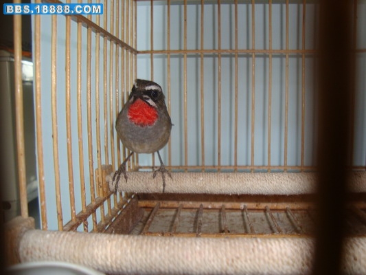 DSC03868_调整大小.JPG