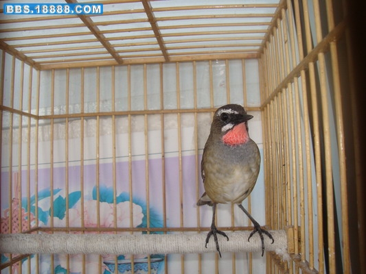 DSC03896_调整大小.JPG