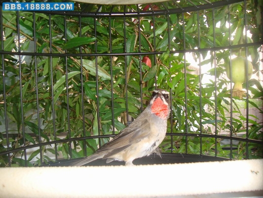 DSC03906_调整大小.JPG