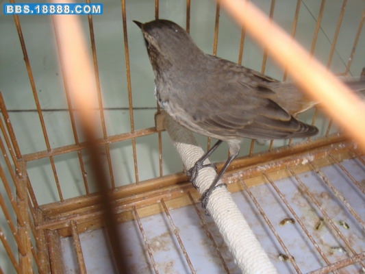 DSC03889_调整大小.JPG