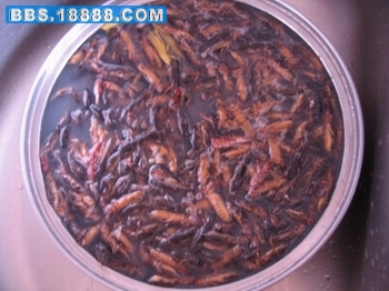 照片鸟 076.jpg