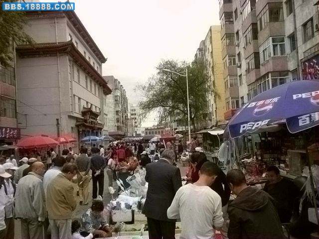 DSCN1747.jpg