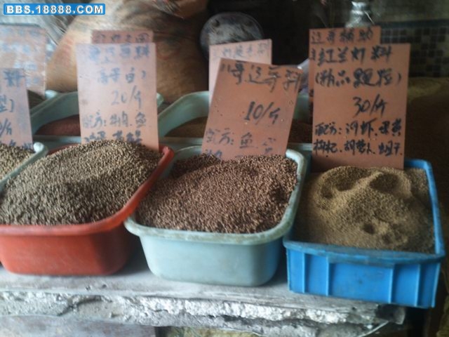PICT0172.JPG