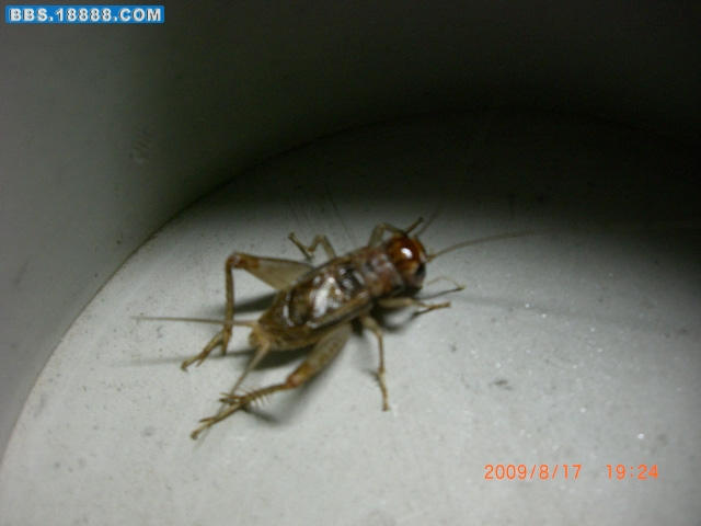 CIMG1733.JPG