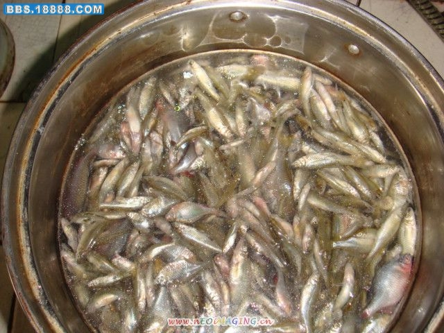 DSC01138.JPG