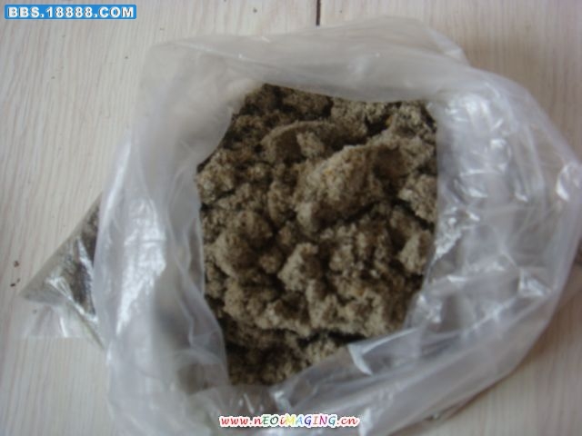 DSC01101.JPG