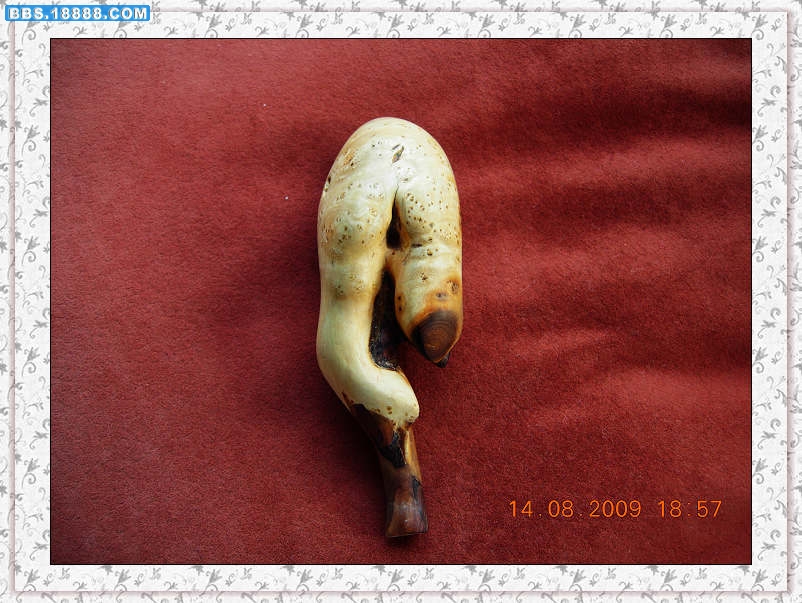 DSCN3725.jpg