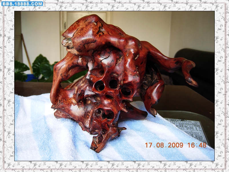 DSCN3731.jpg