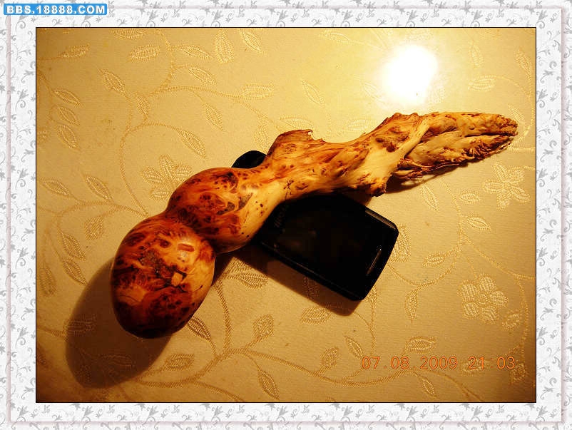 DSCN3719.jpg