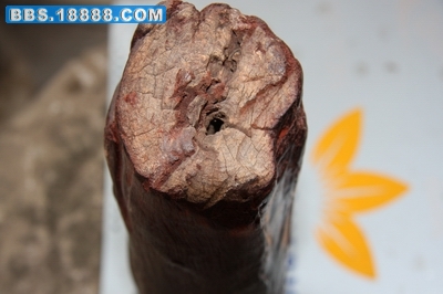 自制做小工艺品 350.jpg