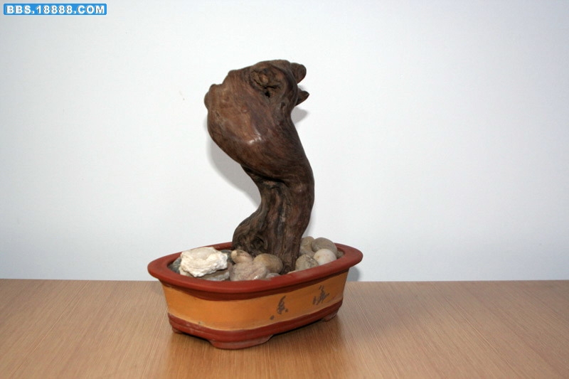 xiangweisje04.jpg