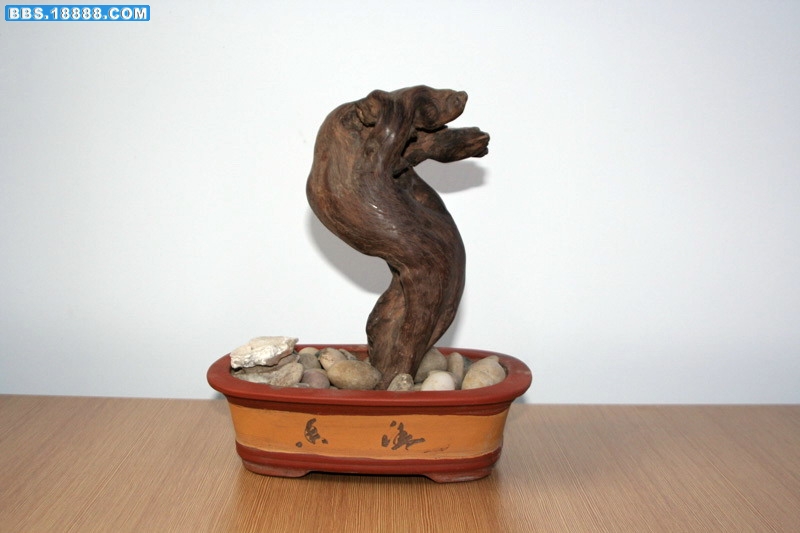 xiangweisje03.jpg