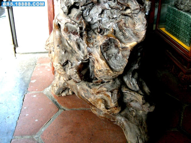 CIMG8671.JPG