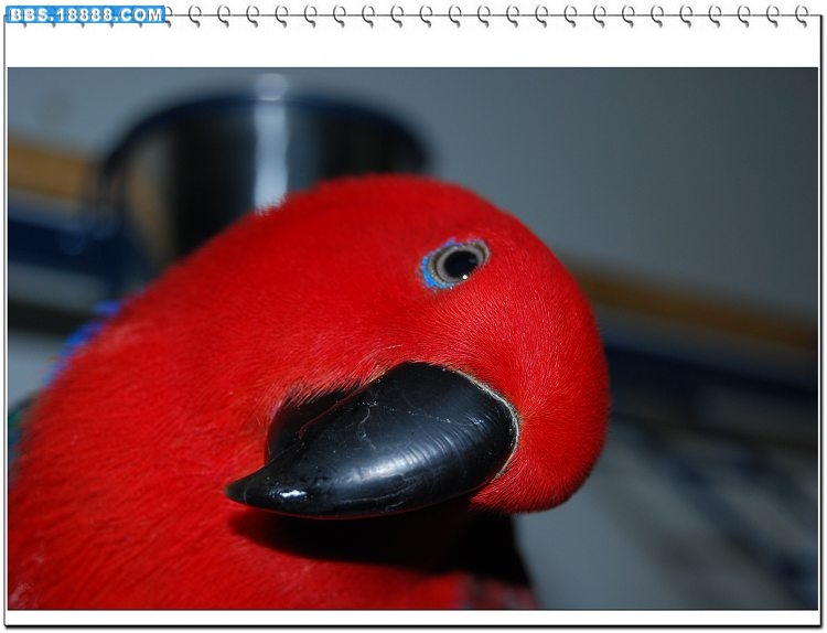 3.JPG