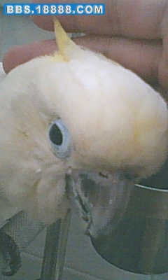 JPG0813162507.JPG