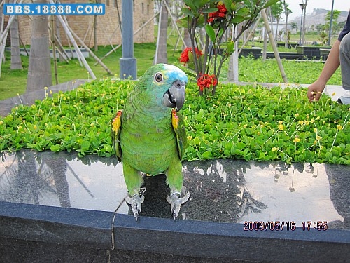 IMG_0731_conew1.jpg