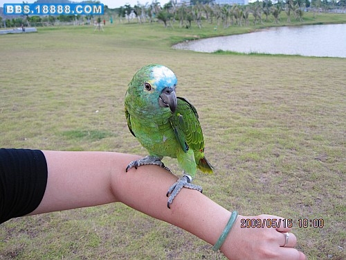 IMG_0740_conew1.jpg