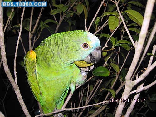 IMG_0771_conew1.jpg