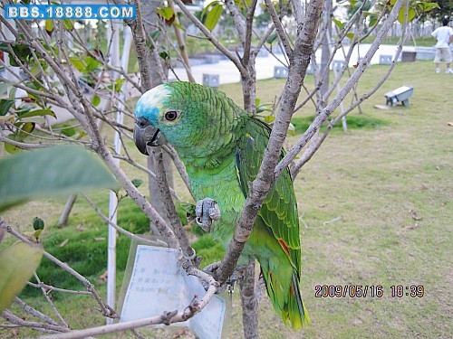 IMG_0765_conew1.jpg