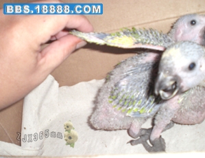 CIMG5016副本.jpg