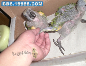 CIMG5041副本.jpg