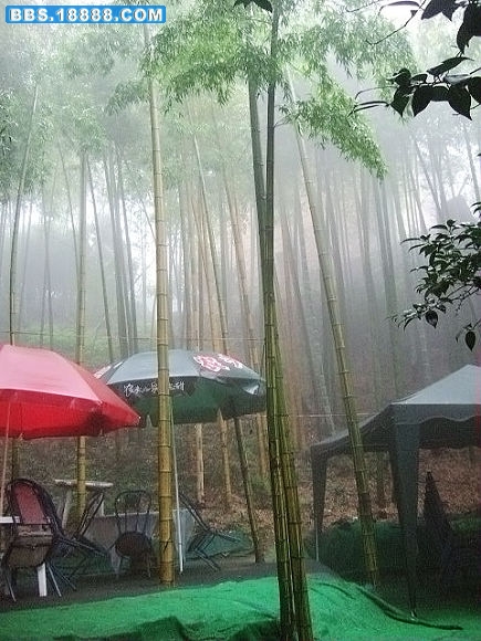 DSCF1632.jpg