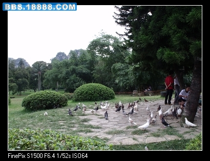 DSCF0316.JPG
