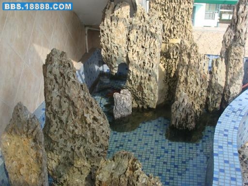 锦鲤1.JPG