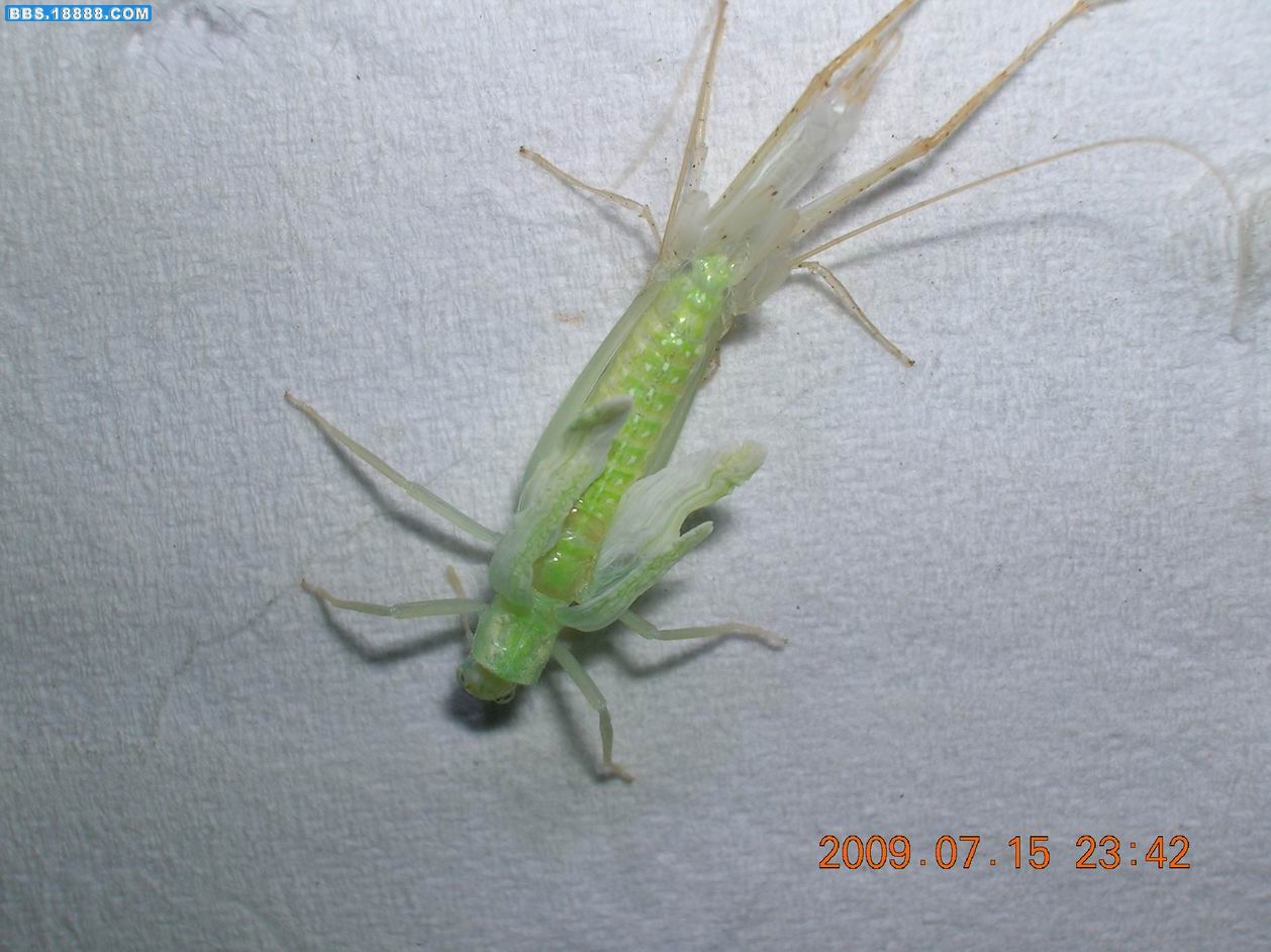 DSCN6160.jpg