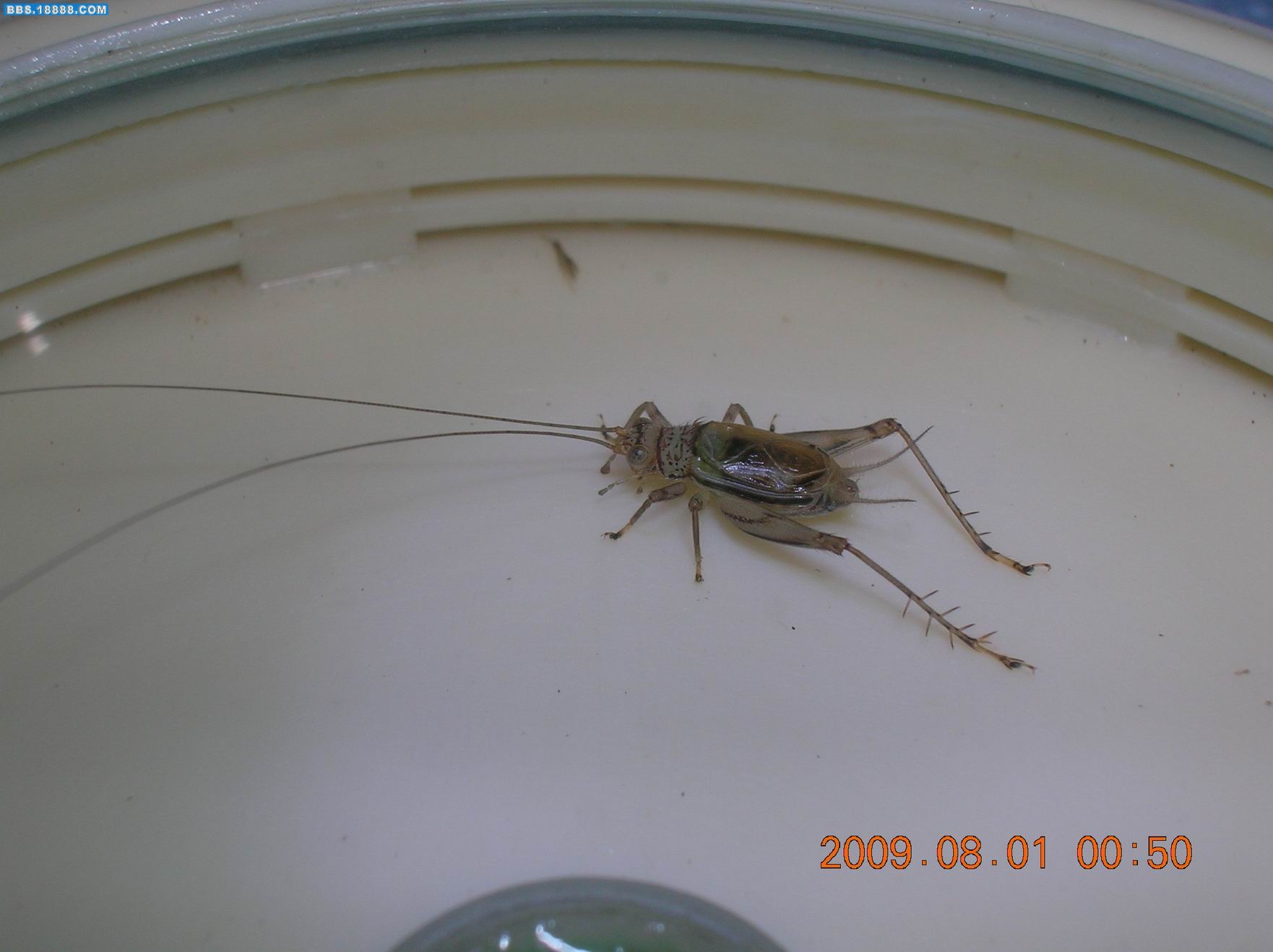 DSCN6511.jpg