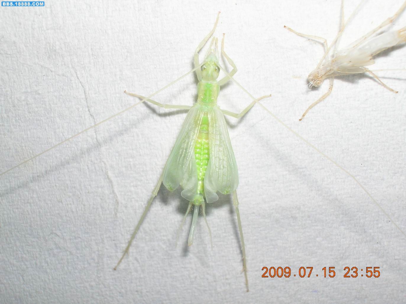 DSCN6189.jpg