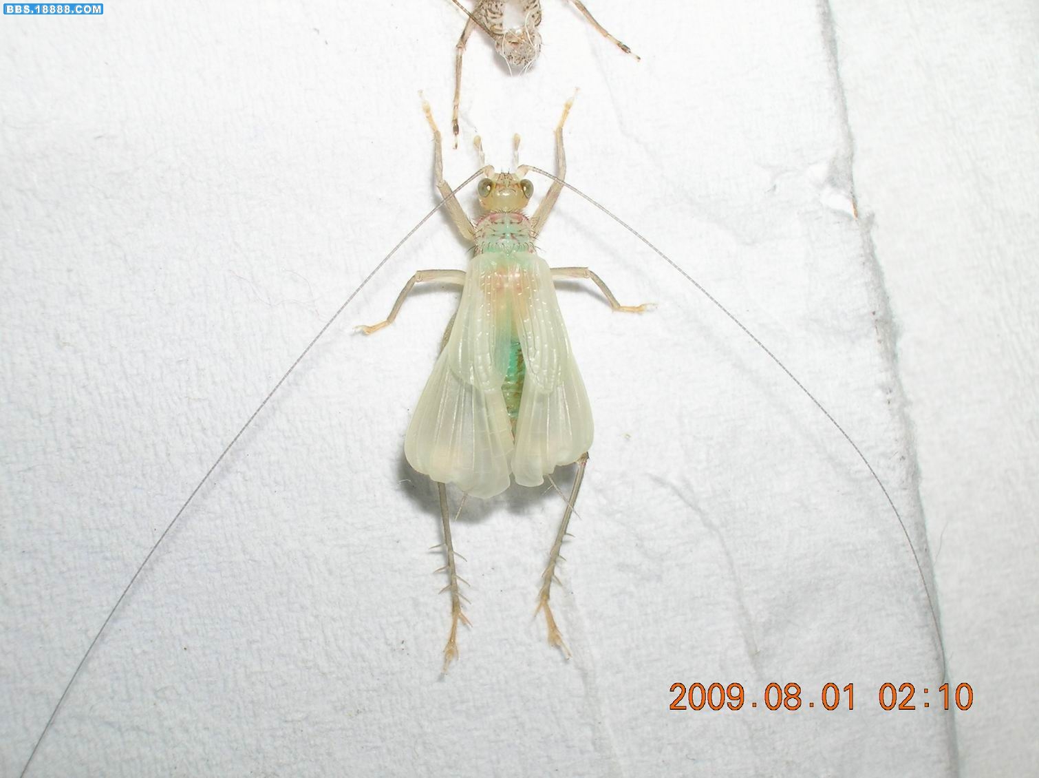 DSCN6581.jpg