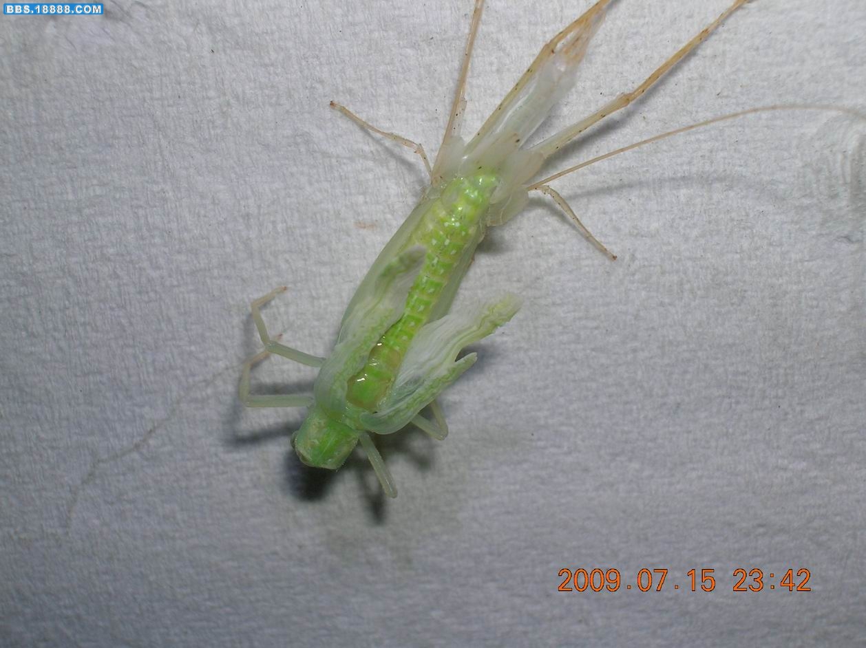 DSCN6158.jpg