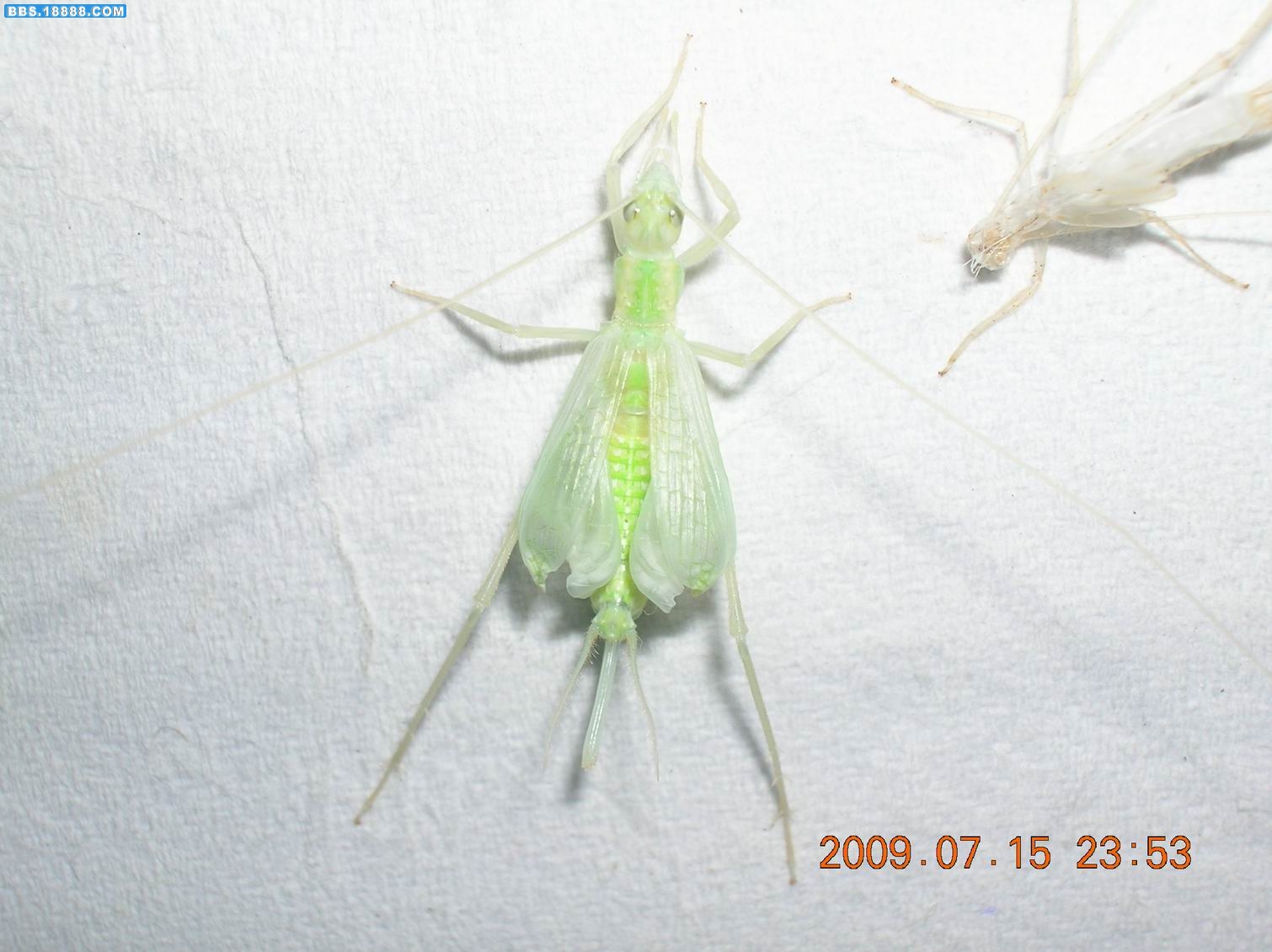 DSCN6188.jpg