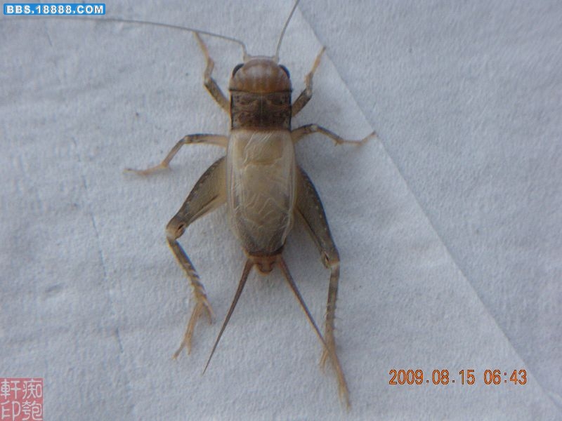 DSCN2266.jpg