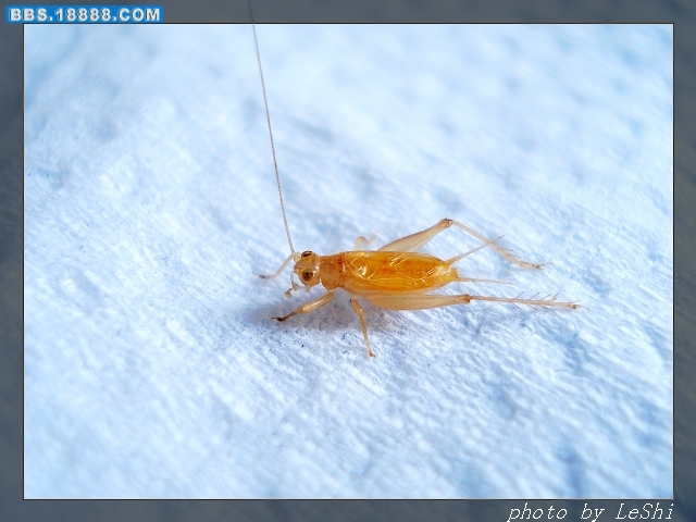 DSC04044.JPG