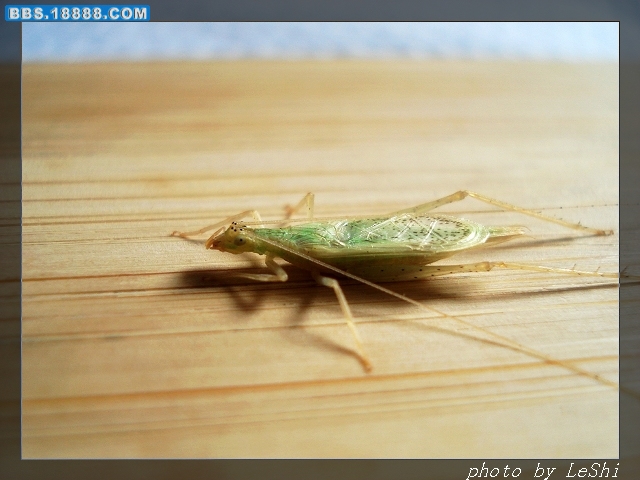 DSC01754.JPG